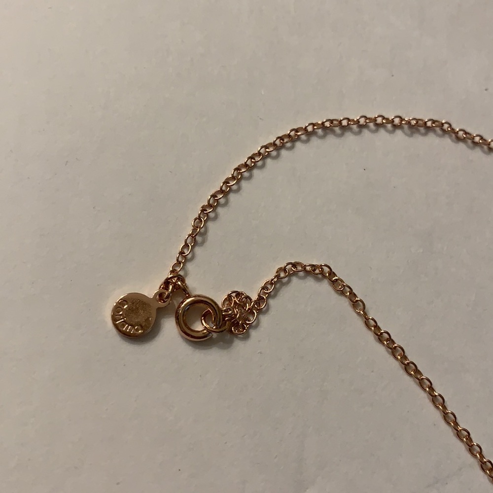 Gorjana rose gold lariat necklace - Picture 3 of 4